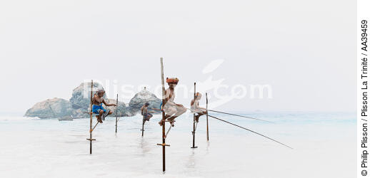 Pêcheurs sur échasse au Sri Lanka - © Philip Plisson / Plisson La Trinité / AA39459 - Nos reportages photos - Couleur