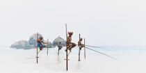 © Philip Plisson / Plisson La Trinité / AA39459 Fishermen on a stick in Sri Lanka - Photo Galleries - Keywords