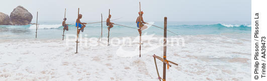 Pêcheurs sur échasse au Sri Lanka - © Philip Plisson / Plisson La Trinité / AA39473 - Nos reportages photos - Pays étranger