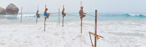 © Philip Plisson / Plisson La Trinité / AA39473 Pêcheurs sur échasse au Sri Lanka - Nos reportages photos - Pêcheur