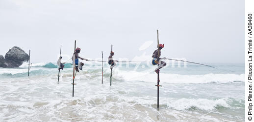 Pêcheurs sur échasse au Sri Lanka - © Philip Plisson / Plisson La Trinité / AA39460 - Nos reportages photos - Activité maritime