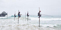 © Philip Plisson / Plisson La Trinité / AA39460 Pêcheurs sur échasse au Sri Lanka - Nos reportages photos - Métier