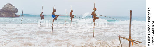 Pêcheurs sur échasse au Sri Lanka - © Philip Plisson / Plisson La Trinité / AA39474 - Nos reportages photos - Pêcheur