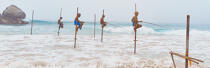 © Philip Plisson / Plisson La Trinité / AA39474 Pêcheurs sur échasse au Sri Lanka - Nos reportages photos - Vue non aérienne