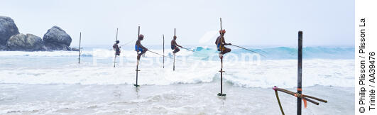 Pêcheurs sur échasse au Sri Lanka - © Philip Plisson / Plisson La Trinité / AA39476 - Nos reportages photos - Pêcheur
