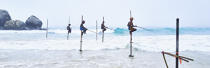 © Philip Plisson / Plisson La Trinité / AA39476 Pêcheurs sur échasse au Sri Lanka - Nos reportages photos - Vue non aérienne