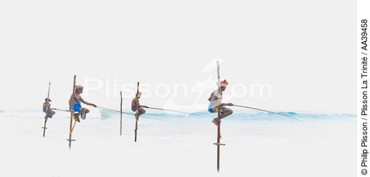 Pêcheurs sur échasse au Sri Lanka - © Philip Plisson / Plisson La Trinité / AA39458 - Nos reportages photos - 16/9 horizontal