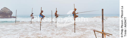 Pêcheurs sur échasse au Sri Lanka - © Philip Plisson / Plisson La Trinité / AA39477 - Nos reportages photos - Cadrage