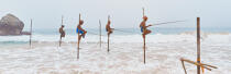 © Philip Plisson / Plisson La Trinité / AA39477 Pêcheurs sur échasse au Sri Lanka - Nos reportages photos - Couleur