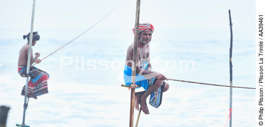 Pêcheurs sur échasse au Sri Lanka - © Philip Plisson / Plisson La Trinité / AA39461 - Nos reportages photos - Métier