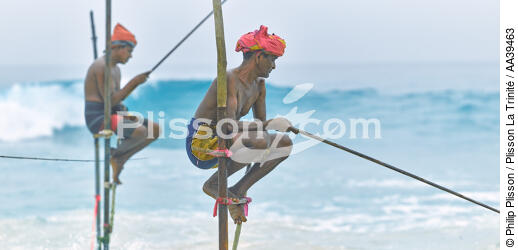 Pêcheurs sur échasse au Sri Lanka - © Philip Plisson / Plisson La Trinité / AA39463 - Nos reportages photos - Pêcheur