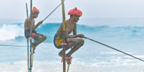 © Philip Plisson / Plisson La Trinité / AA39463 Fishermen on a stick in Sri Lanka - Photo Galleries - Keywords