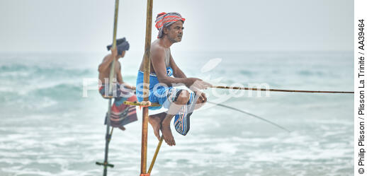 Pêcheurs sur échasse au Sri Lanka - © Philip Plisson / Plisson La Trinité / AA39464 - Nos reportages photos - Activité maritime