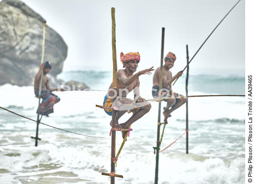 Pêcheurs sur échasse au Sri Lanka - © Philip Plisson / Plisson La Trinité / AA39465 - Nos reportages photos - Mots clés