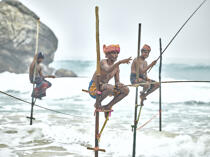 © Philip Plisson / Plisson La Trinité / AA39465 Pêcheurs sur échasse au Sri Lanka - Nos reportages photos - Pays étranger