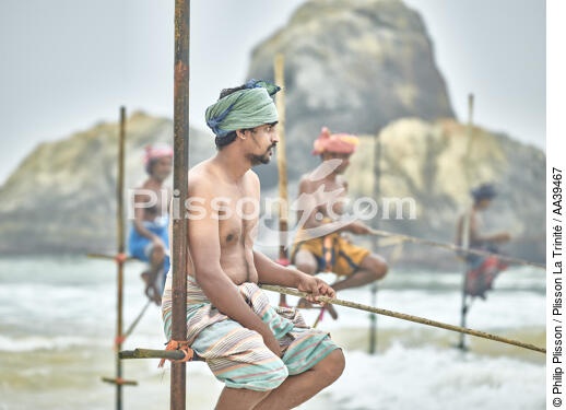 Pêcheurs sur échasse au Sri Lanka - © Philip Plisson / Plisson La Trinité / AA39467 - Nos reportages photos - Pêcheur