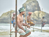 © Philip Plisson / Plisson La Trinité / AA39467 Pêcheurs sur échasse au Sri Lanka - Nos reportages photos - Pays étranger