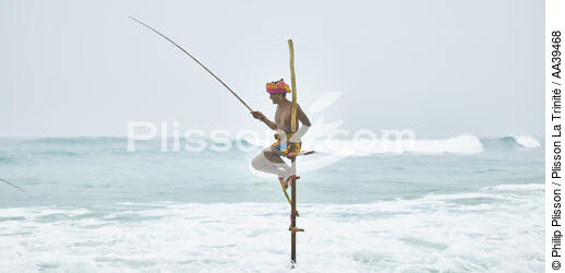Pêcheurs sur échasse au Sri Lanka - © Philip Plisson / Plisson La Trinité / AA39468 - Nos reportages photos - Pêche