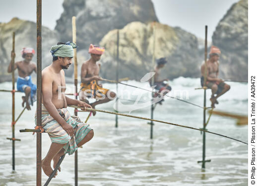 Pêcheurs sur échasse au Sri Lanka - © Philip Plisson / Plisson La Trinité / AA39472 - Nos reportages photos - Pêcheur