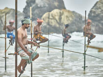 © Philip Plisson / Plisson La Trinité / AA39472 Pêcheurs sur échasse au Sri Lanka - Nos reportages photos - Philip Plisson