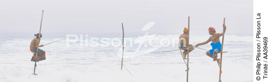 Fishermen on a stick in Sri Lanka - © Philip Plisson / Plisson La Trinité / AA39469 - Photo Galleries - Maritime activity