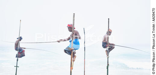 Pêcheurs sur échasse au Sri Lanka - © Philip Plisson / Plisson La Trinité / AA39470 - Nos reportages photos - Métier