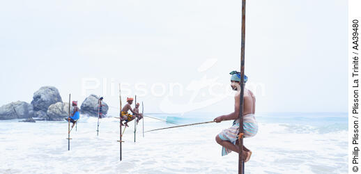 Fishermen on a stick in Sri Lanka - © Philip Plisson / Plisson La Trinité / AA39480 - Photo Galleries - Fishing