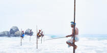 © Philip Plisson / Plisson La Trinité / AA39480 Fishermen on a stick in Sri Lanka - Photo Galleries - Fisherman