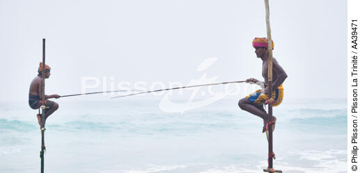 Fishermen on a stick in Sri Lanka - © Philip Plisson / Plisson La Trinité / AA39471 - Photo Galleries - People