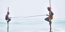 © Philip Plisson / Pêcheur d’Images / AA39471 Fishermen on a stick in Sri Lanka - Photo Galleries - Fisherman