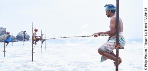 Pêcheurs sur échasse au Sri Lanka - © Philip Plisson / Plisson La Trinité / AA39478 - Nos reportages photos - Pêcheur