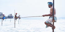 © Philip Plisson / Plisson La Trinité / AA39478 Fishermen on a stick in Sri Lanka - Photo Galleries - Keywords
