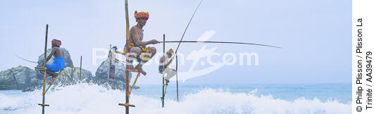 Pêcheurs sur échasse au Sri Lanka - © Philip Plisson / Plisson La Trinité / AA39479 - Nos reportages photos - Métier