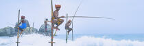 © Philip Plisson / Pêcheur d’Images / AA39479 Fishermen on a stick in Sri Lanka - Photo Galleries - People