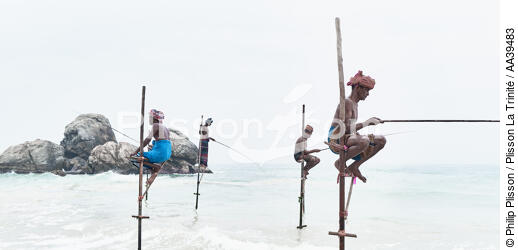 Pêcheurs sur échasse au Sri Lanka - © Philip Plisson / Plisson La Trinité / AA39483 - Nos reportages photos - Métier