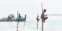 © Philip Plisson / Plisson La Trinité / AA39483 Pêcheurs sur échasse au Sri Lanka - Nos reportages photos - Couleur