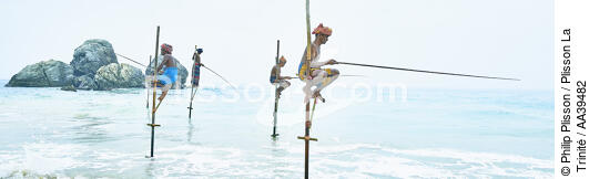 Pêcheurs sur échasse au Sri Lanka - © Philip Plisson / Plisson La Trinité / AA39482 - Nos reportages photos - Personnage