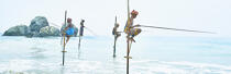 © Philip Plisson / Plisson La Trinité / AA39482 Pêcheurs sur échasse au Sri Lanka - Nos reportages photos - Pays étranger