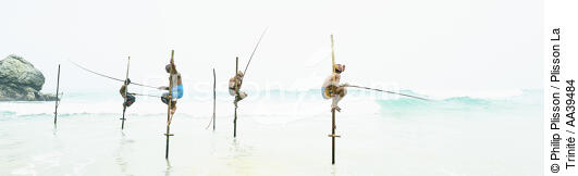 Pêcheurs sur échasse au Sri Lanka - © Philip Plisson / Plisson La Trinité / AA39484 - Nos reportages photos - Pêche