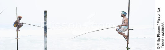 Pêcheurs sur échasse au Sri Lanka - © Philip Plisson / Plisson La Trinité / AA39486 - Nos reportages photos - Pêche