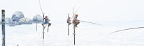 © Philip Plisson / Pêcheur d’Images / AA39487 Fishermen on a stick in Sri Lanka - Photo Galleries - People
