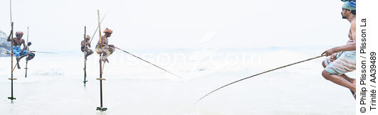 Pêcheurs sur échasse au Sri Lanka - © Philip Plisson / Plisson La Trinité / AA39489 - Nos reportages photos - Pêche
