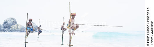 Pêcheurs sur échasse au Sri Lanka - © Philip Plisson / Plisson La Trinité / AA39492 - Nos reportages photos - Pêcheur