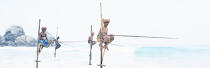 © Philip Plisson / Pêcheur d’Images / AA39492 Fishermen on a stick in Sri Lanka - Photo Galleries - People