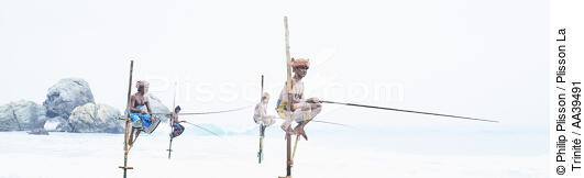 Fishermen on a stick in Sri Lanka - © Philip Plisson / Plisson La Trinité / AA39491 - Photo Galleries - Fishing