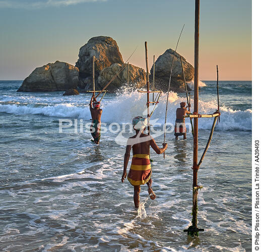 Pêcheurs sur échasse au Sri Lanka - © Philip Plisson / Plisson La Trinité / AA39493 - Nos reportages photos - Mots clés