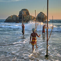 © Philip Plisson / Plisson La Trinité / AA39493 Pêcheurs sur échasse au Sri Lanka - Nos reportages photos - Chromie