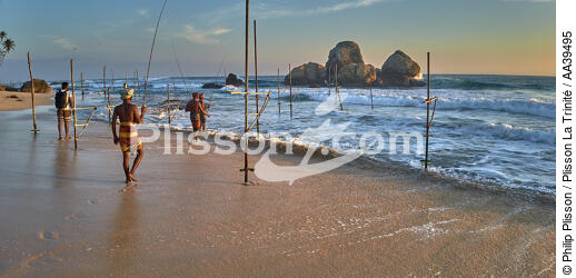 Fishermen on a stick in Sri Lanka - © Philip Plisson / Plisson La Trinité / AA39495 - Photo Galleries - 16/9 horizontal