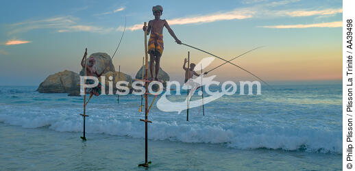 Pêcheurs sur échasse au Sri Lanka - © Philip Plisson / Plisson La Trinité / AA39498 - Nos reportages photos - Activité maritime