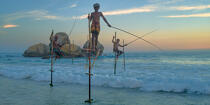 © Philip Plisson / Plisson La Trinité / AA39498 Pêcheurs sur échasse au Sri Lanka - Nos reportages photos - Pays étranger
